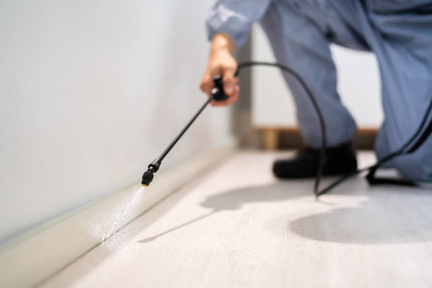Bed Bug Pre-Treatment Preparation Assessment in Ellaville