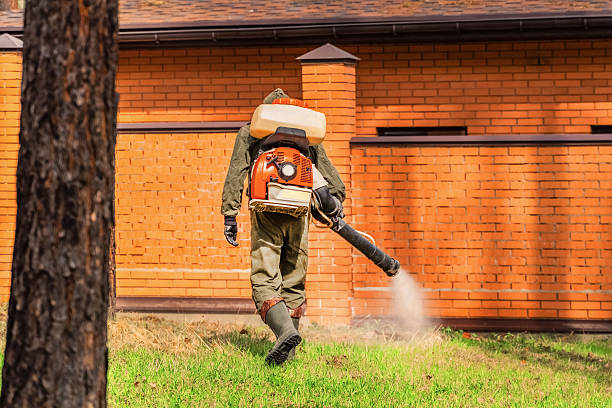 Bed Bug Clearance Verification and Documentation in Ellaville